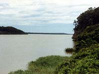 L'Oguwe
